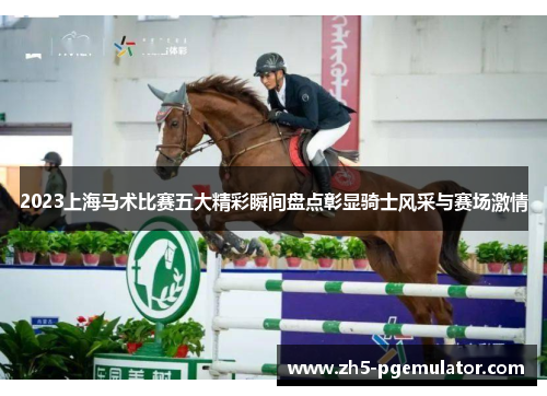 2023上海马术比赛五大精彩瞬间盘点彰显骑士风采与赛场激情