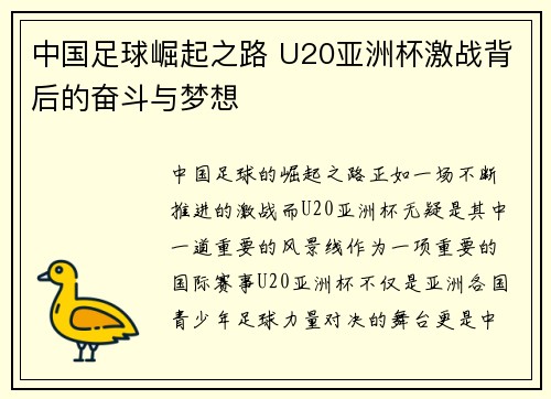 中国足球崛起之路 U20亚洲杯激战背后的奋斗与梦想
