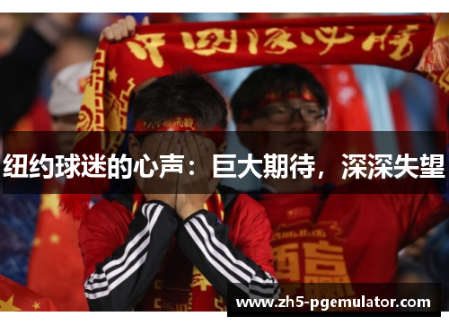 纽约球迷的心声：巨大期待，深深失望