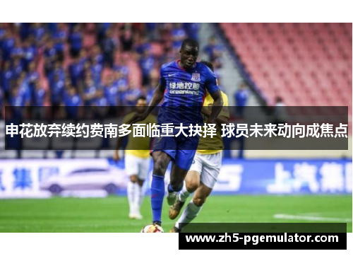 申花放弃续约费南多面临重大抉择 球员未来动向成焦点