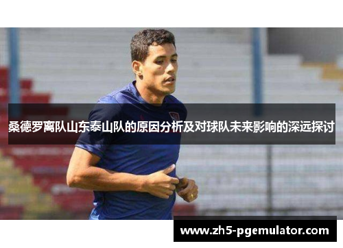 桑德罗离队山东泰山队的原因分析及对球队未来影响的深远探讨