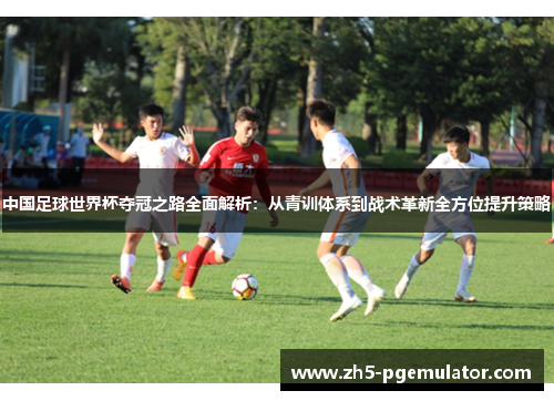 中国足球世界杯夺冠之路全面解析：从青训体系到战术革新全方位提升策略