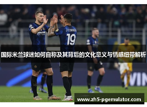 国际米兰球迷如何自称及其背后的文化意义与情感纽带解析