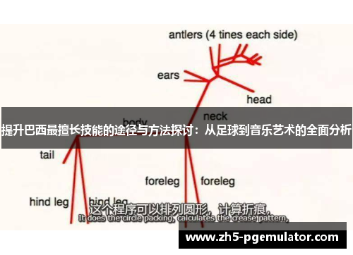 提升巴西最擅长技能的途径与方法探讨：从足球到音乐艺术的全面分析