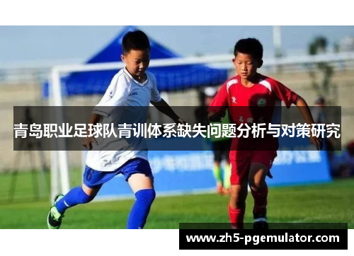青岛职业足球队青训体系缺失问题分析与对策研究